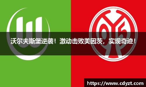 沃尔夫斯堡逆袭！激动击败美因茨，实现奇迹！