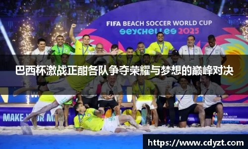 巴西杯激战正酣各队争夺荣耀与梦想的巅峰对决
